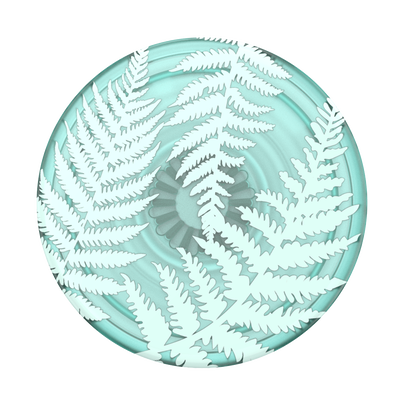 Secondary image for hover PlantCore Translucent Fern